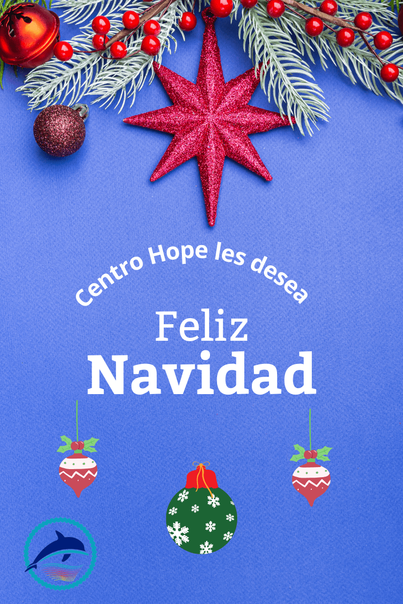 Que la Navidad Llene Tu Hogar de Luz. Imagen navideña con el texto 'Centro Hope les desea: Feliz Navidad' y el logo del delfín de Centro Hope