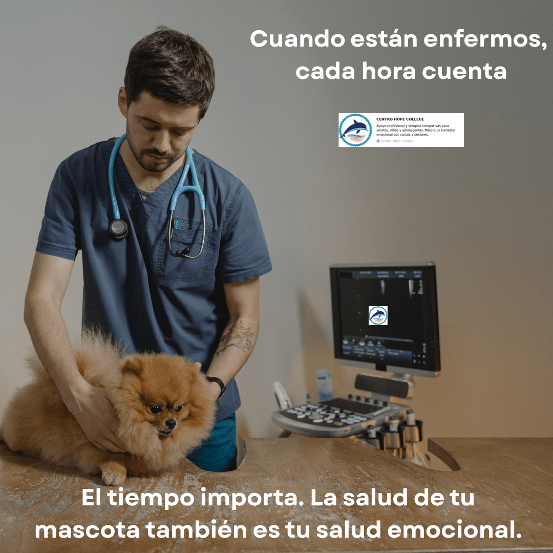 El tiempo importa: cuando un antibiótico a tiempo puede salvar la vida de tu mascota. Imagen de un veterinario atendiendo a un perro enfermo, resaltando la importancia de la atención médica rápida para el bienestar animal y emocional de las familias.
