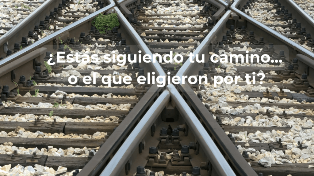 Vocación profesional: diferentes caminos representan las decisiones sobre la vida profesional que queremos elegir